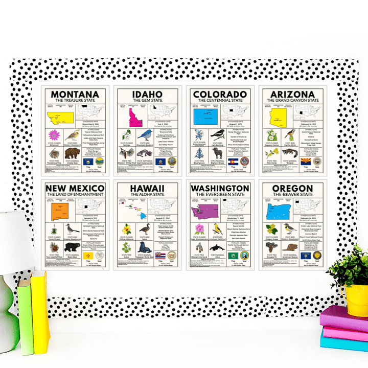 Complete US State Fact Posters & Coloring Sheets Bundle – Northeast, Midwest, South, West Regions – Educational State Symbols & Maps - Teacher Jeanell