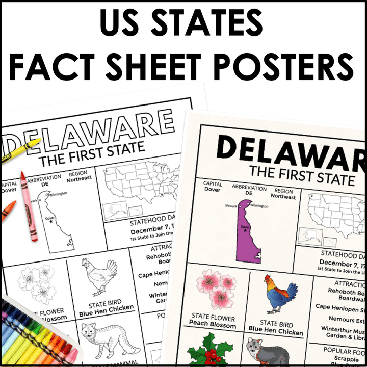 Complete US State Fact Posters & Coloring Sheets Bundle – Northeast, Midwest, South, West Regions – Educational State Symbols & Maps - Teacher Jeanell