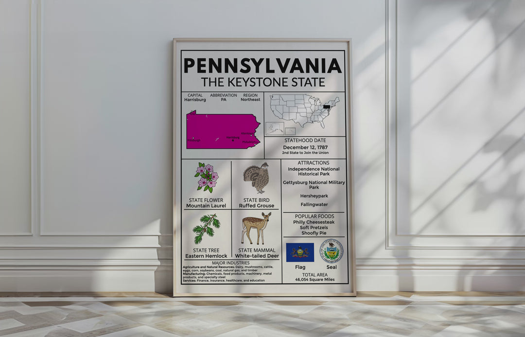 US State Fact Posters & Coloring Sheets Bundle | 50 States by Region