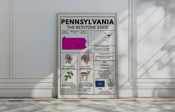 US State Fact Posters & Coloring Sheets Bundle | 50 States by Region