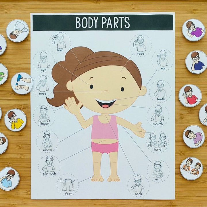 ASL Body Parts File Folder Games - ASL Busy Book - Teacher Jeanell