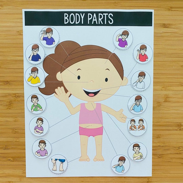 ASL Body Parts File Folder Games - ASL Busy Book - Teacher Jeanell