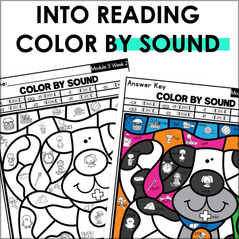 HMH Into Reading Color by Code First Grade Phonics and Spelling Words Supplemental Resource - Teacher Jeanell