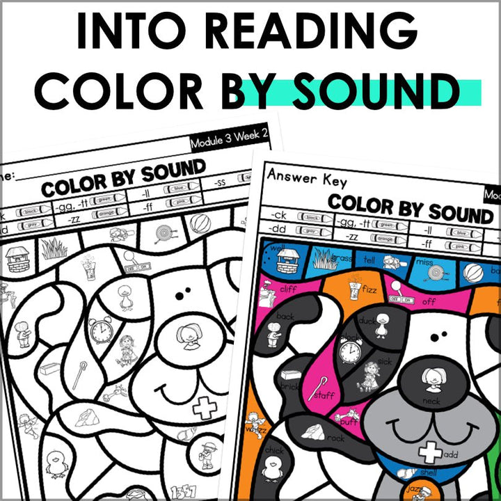HMH Into Reading Color by Code First Grade Phonics and Spelling Words Supplemental Resource - Teacher Jeanell
