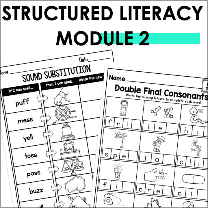 HMH Into Reading Structured Literacy 1st Grade Spelling and Phonics Supplement Module 2 - Teacher Jeanell