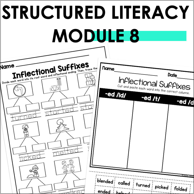 HMH Into Reading Structured Literacy 1st Grade Spelling and Phonics Supplement Module 8 - Teacher Jeanell