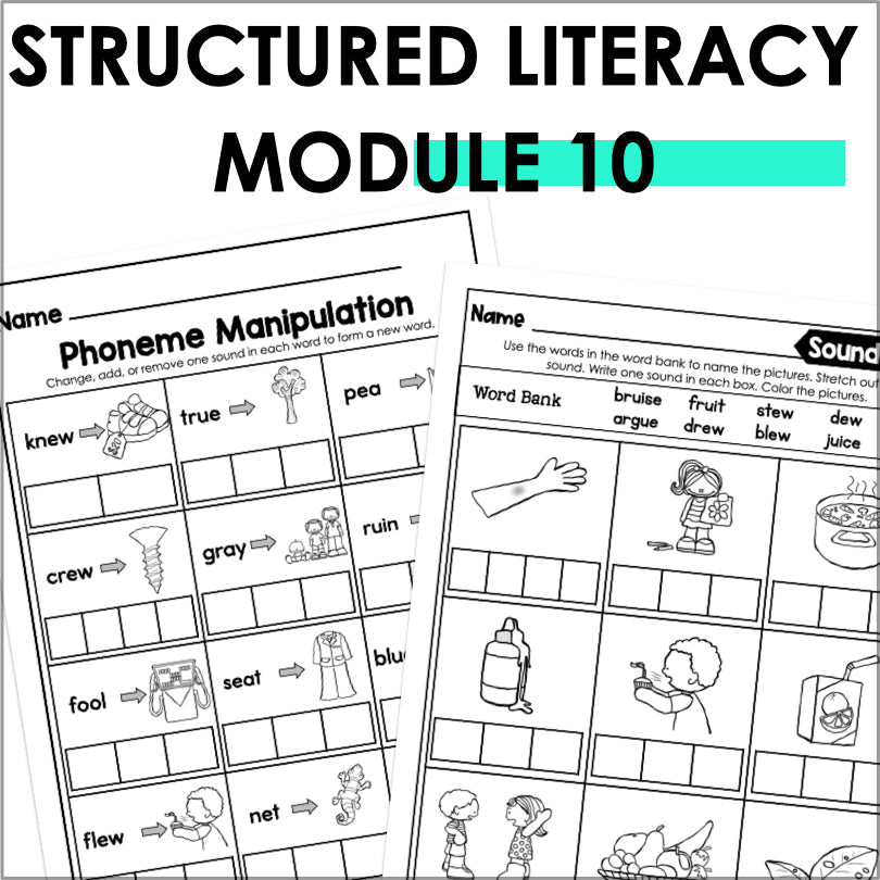 HMH Into Reading Structured Literacy 2nd Grade Spelling and Phonics Module 10 - Teacher Jeanell