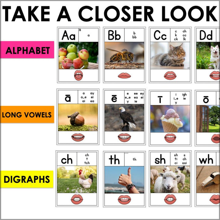 Sound - Spelling Wall Posters for Enhanced Literacy Skills| Sound Wall Posters with Real Photos - Teacher Jeanell